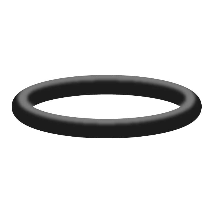 O-Ring Kupplung  KW  2011